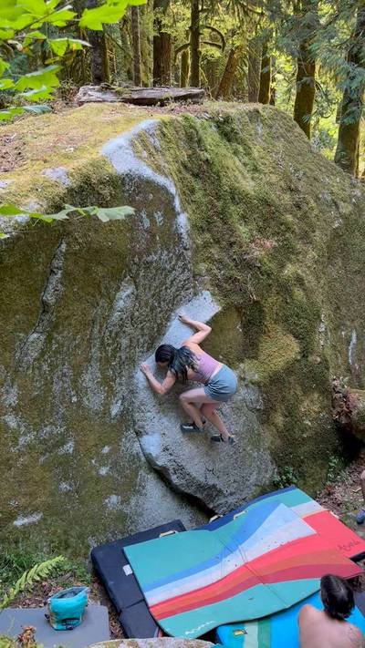 Yin Yang v7, Index - Beta Video from stefakneebar