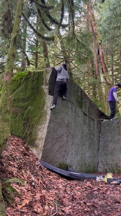 Cheek Arete v1, Index - Beta Video from yujinkim