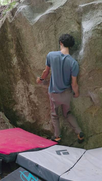 Tiny Tim v3, Vancouver - Beta Video from LELECO