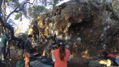 Full Fever v10, Berkeley - Beta Video from Jon