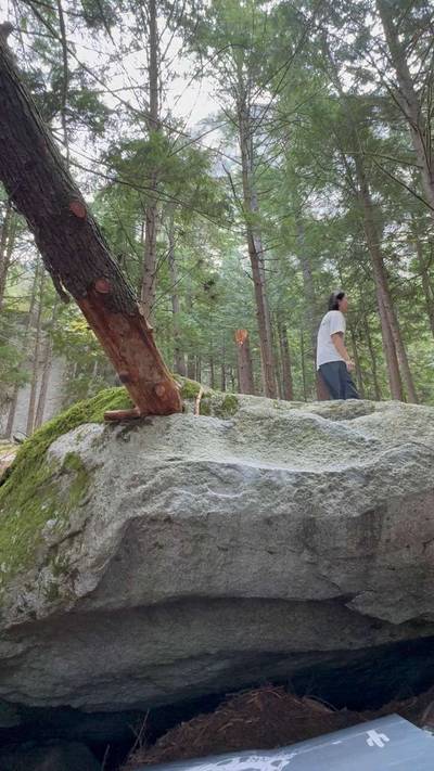 The Alligator v0, Squamish - Beta Video from yujinkim