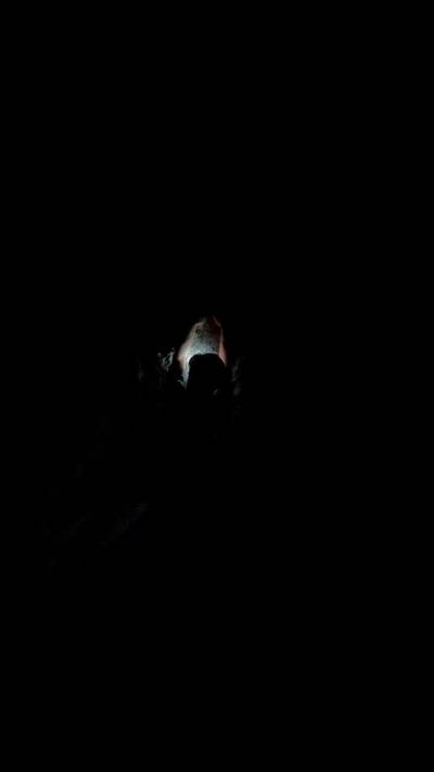 Summoning Stand v8, Squamish - Beta Video from dogwaterking007