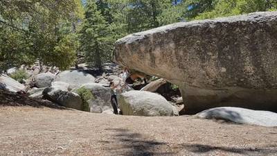 Center Visor v6, Black Mountain - Beta Video from tito