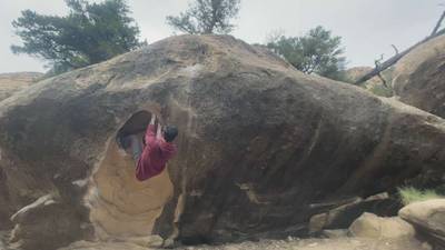 External Tulips v7, Joe's Valley - Beta Video from coolassstephen