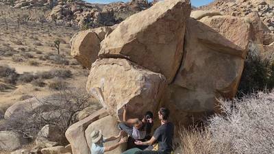 Mulligan Variation v7, Joshua Tree - Beta Video from tito