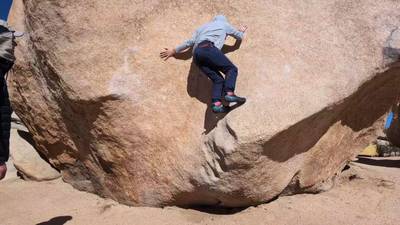 Stem Gem v4, Joshua Tree - Beta Video from TylerCecil