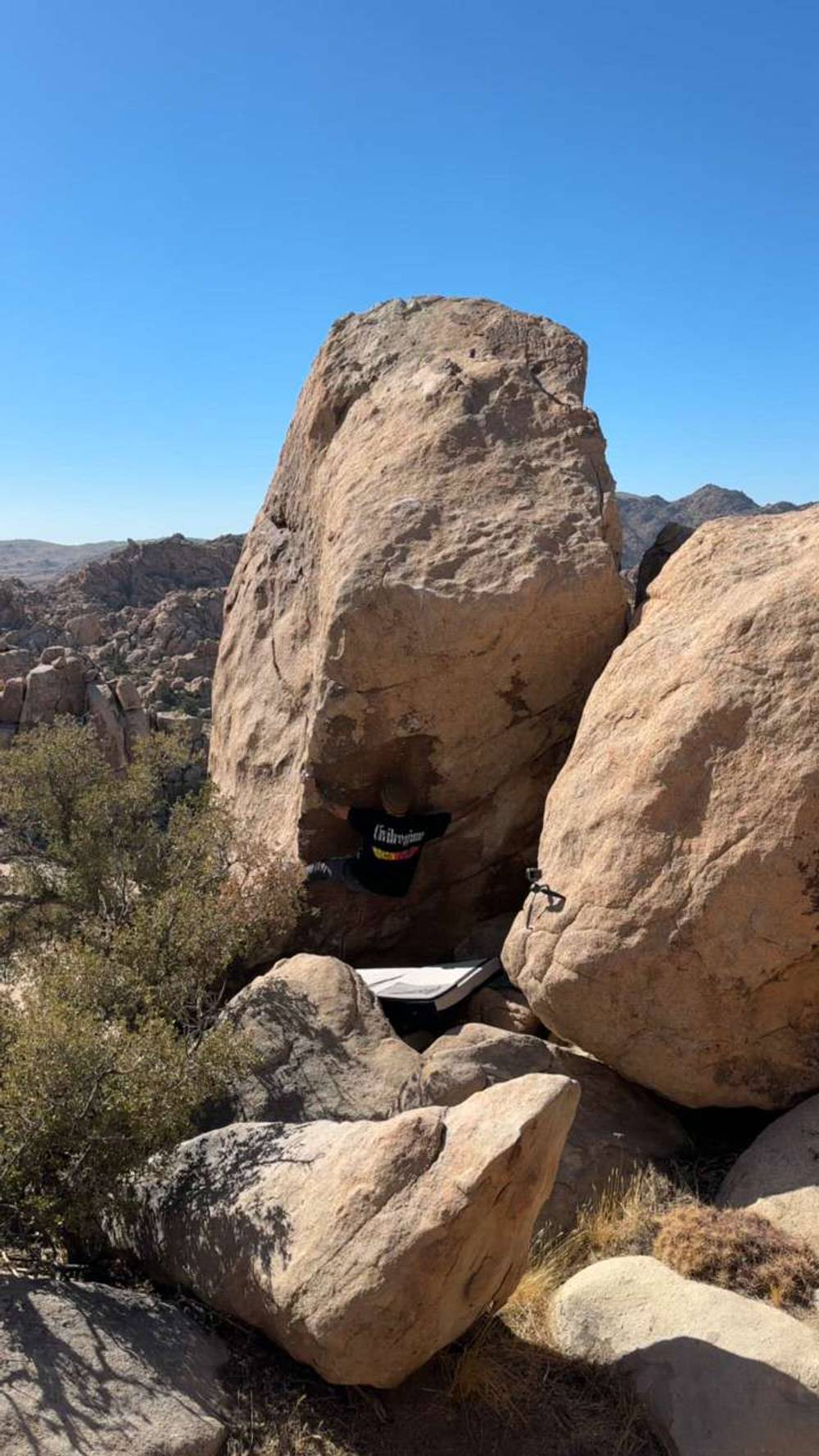 Weeping Angels v8, Joshua Tree - Beta Video from breakingbeta