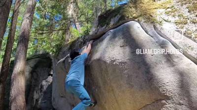 Eager Puppy v4, Vancouver - Beta Video from Liam.grip.holds
