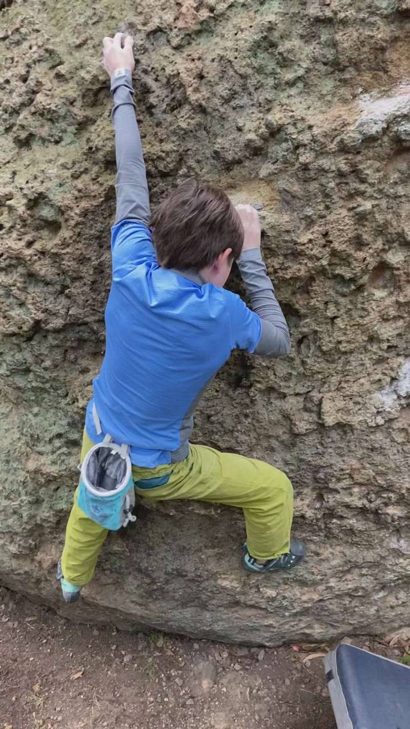 Double Rose v4, Berkeley - Beta Video from AriefNagara