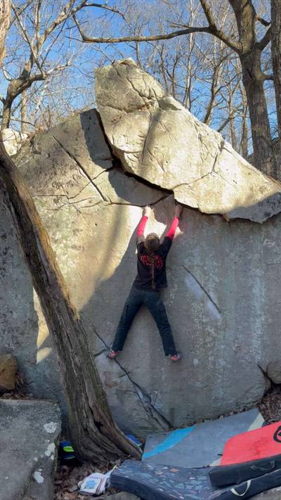 Earl the Squirrel v7, The Citadel - Beta Video from savvy.sends