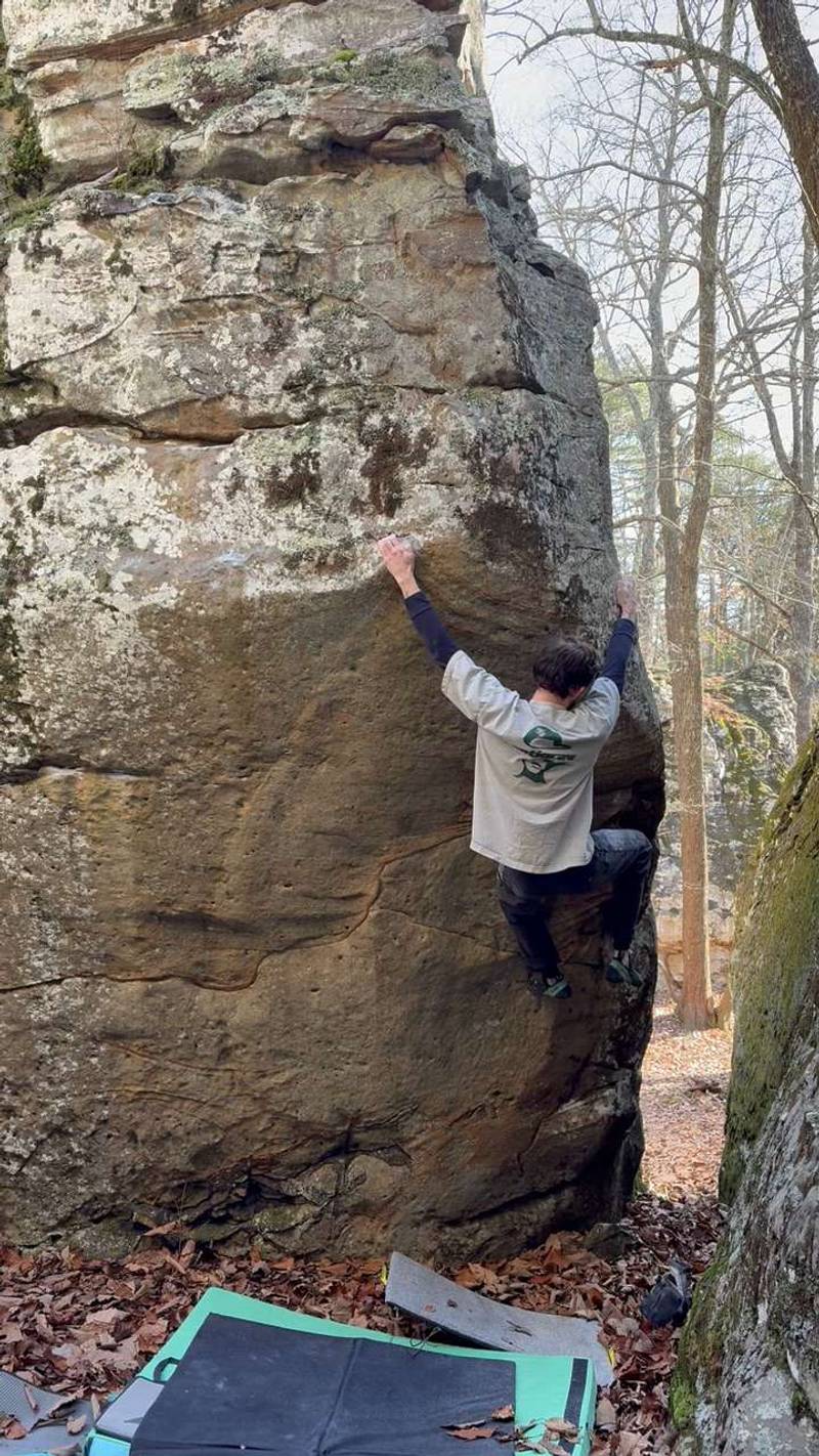 Danger Dog v5, Rocktown - Beta Video from kbond