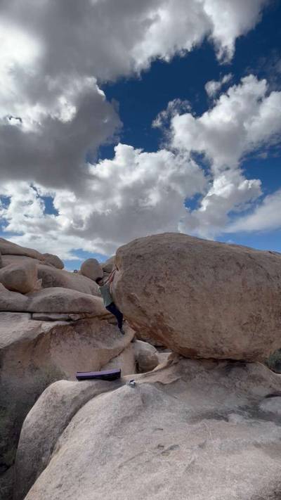 Secret Samurai v5, Joshua Tree - Beta Video from shun_bashi