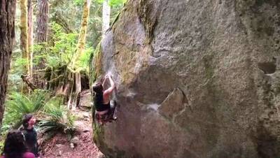 Flying Honey Badger v7, Index - Beta Video from nicolesarles23