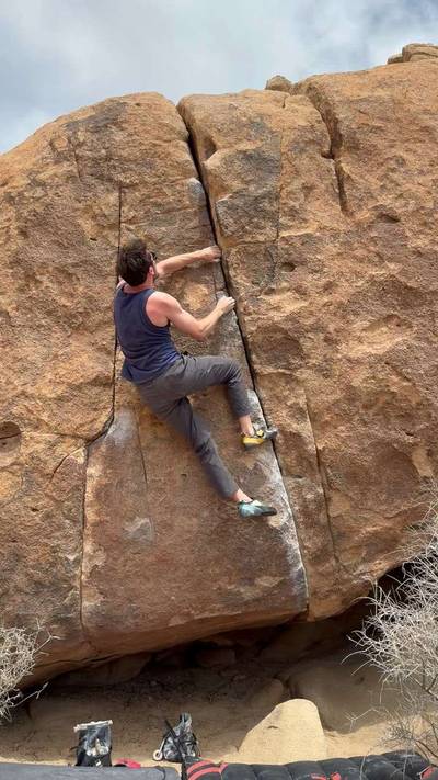 Bardini Low v4, Joshua Tree - Beta Video from aviv