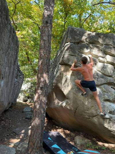 Whiplash v5, Horse Pens 40 - Beta Video from Taylor4746