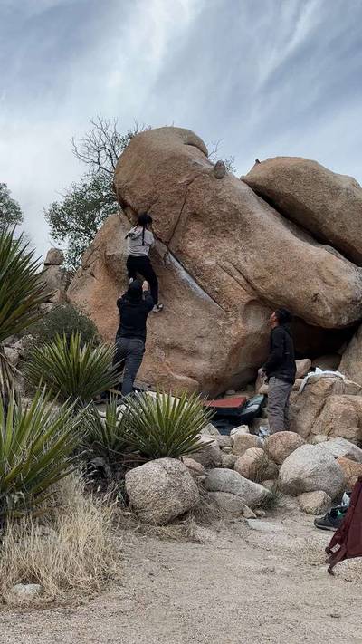 Yabba Dabba Don't v4, Joshua Tree - Beta Video from salamanda