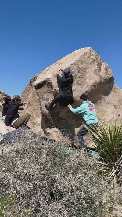 Doin the Cockroach v4, Joshua Tree - Beta Video from j.k0000