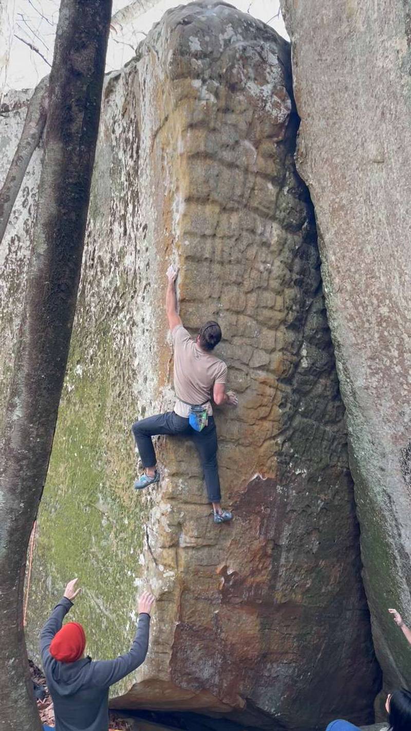 The Giving Tree v7, Stone Fort - Beta Video from cinderblock