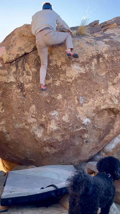 Thunder Egg v5, Joshua Tree - Beta Video from Sydneyrinanna