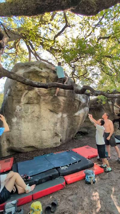 Carnage v8, Fontainebleau - Beta Video from Sheldon
