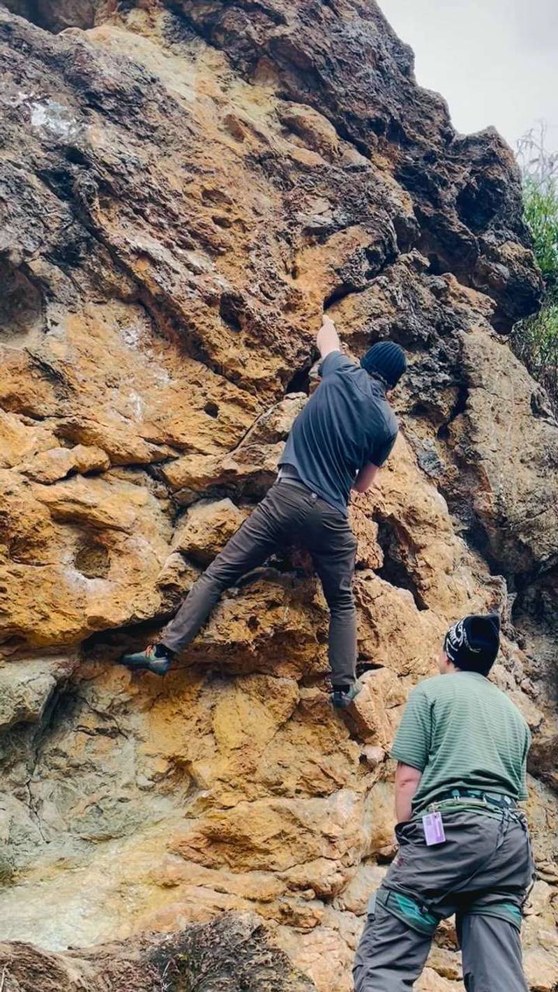 Left Face vB, Berkeley - Beta Video from oakbri