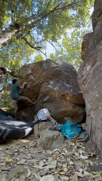 Pee Wee's Little Adventure v7, Mt. Tamalpais - Beta Video from wqfish