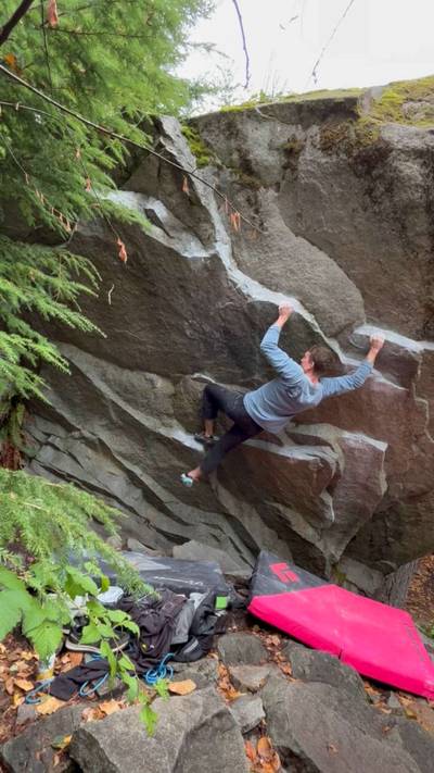 Obesity v7, Gold Bar - Beta Video from bigtoona