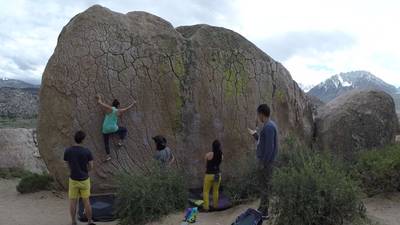 Green Wall Essential v2, Bishop - Beta Video from dindinasaur