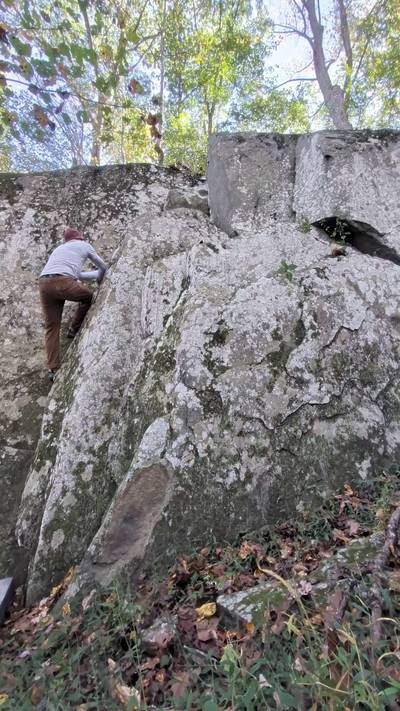 Pappa Bear vB, Patapsco Valley State Park - Beta Video from Steven.Weinstein