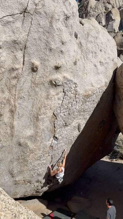 The Secrets Of The Beehive v7, Bishop - Beta Video from sarah_christina