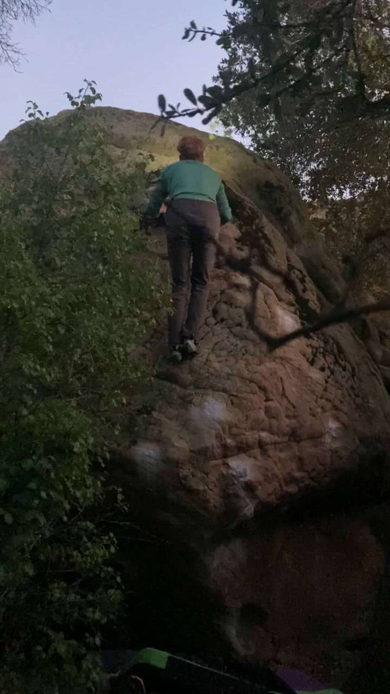 Lonesome Pine v4, Santa Barbara - Beta Video from nicofuchslynch