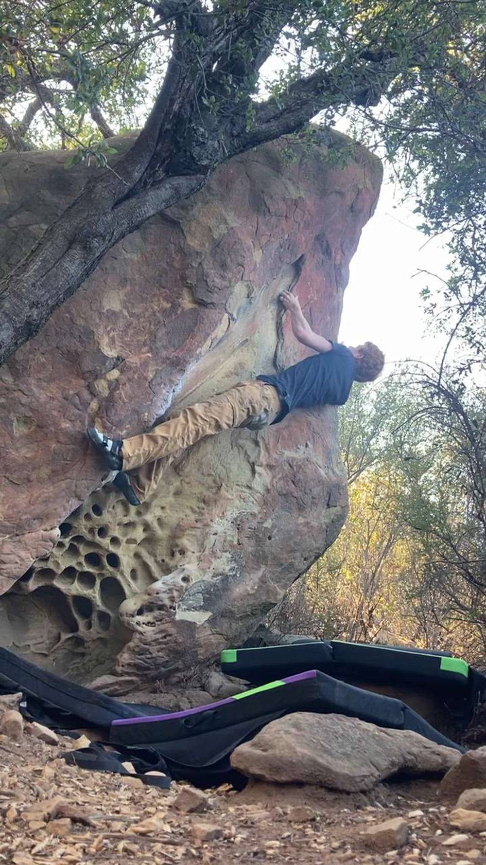 Shoehorn v1, Santa Barbara - Beta Video from nicofuchslynch