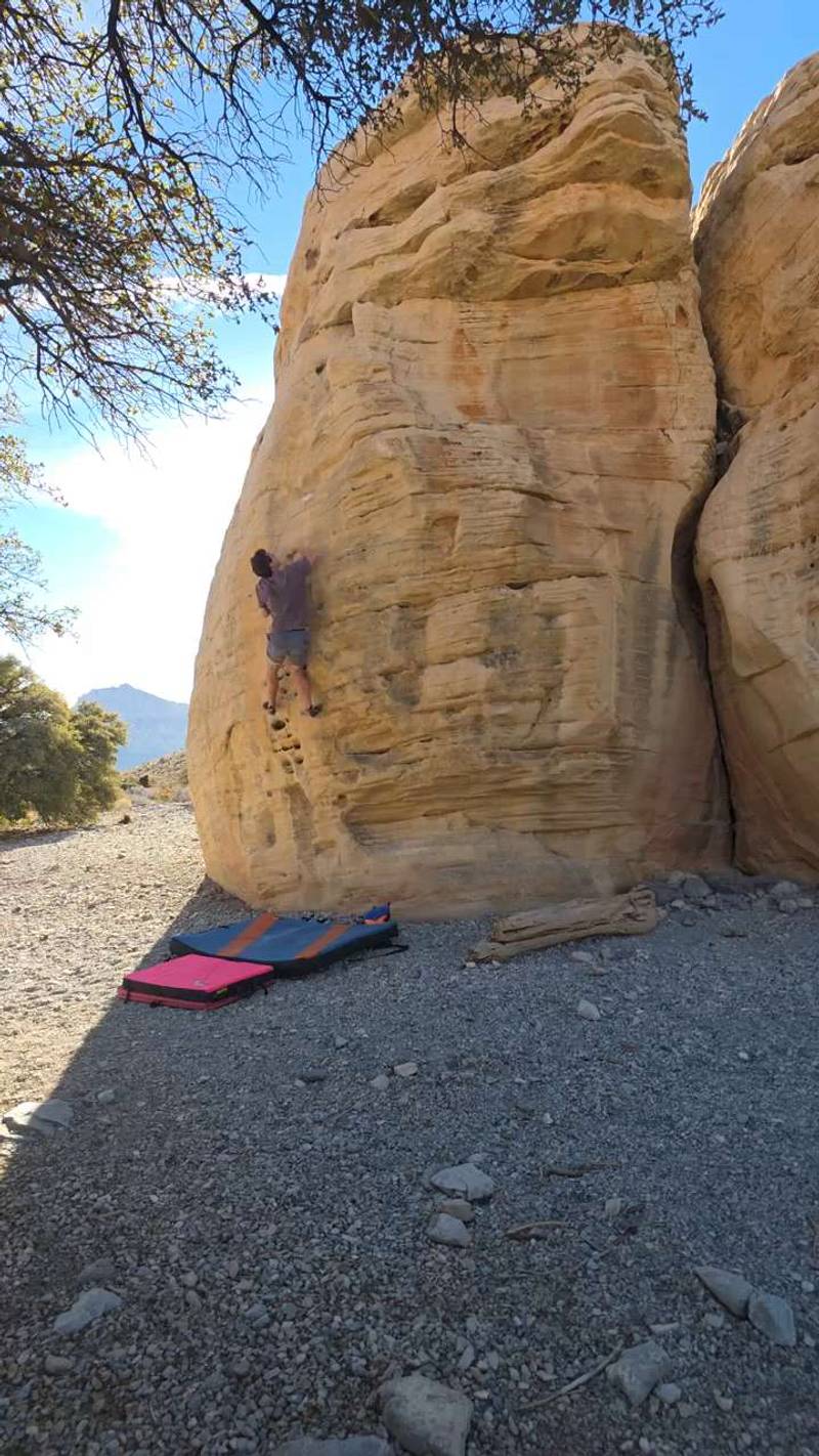 Randal's Handles v1, Red Rock - Beta Video from TinyDynos