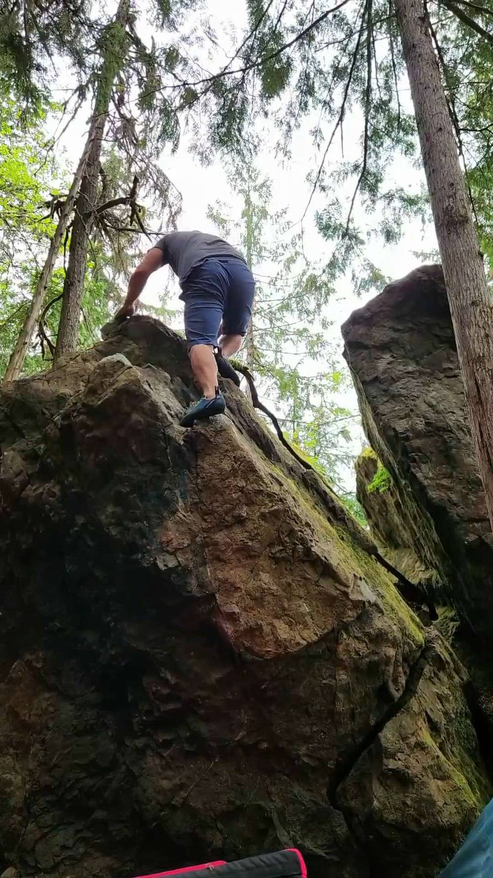 Baby Mum Mum's v0, Comox Lake - Beta Video from UncleJuice