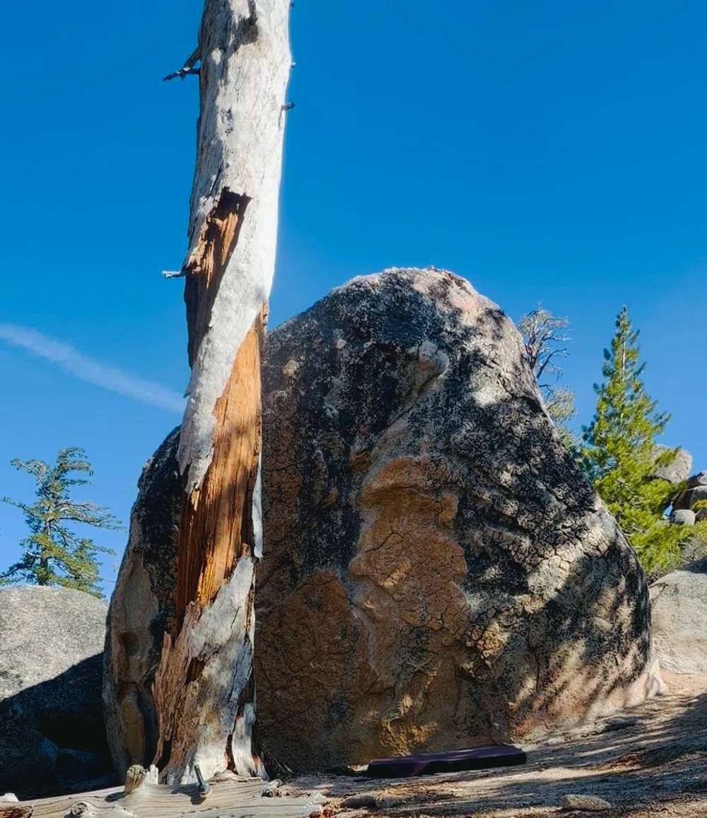 The Brainy Bunch v2, Lake Tahoe - Beta Video from DabbyOtis