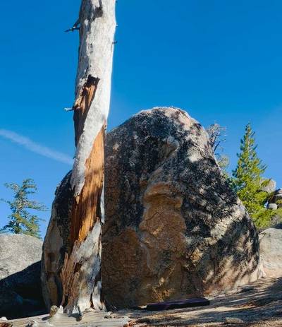 The Brainy Bunch v2, Lake Tahoe - Beta Video from DabbyOtis
