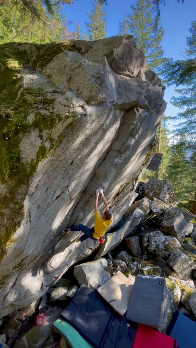 Wild Bill v10, Gold Bar - Beta Video from mrkmrcr