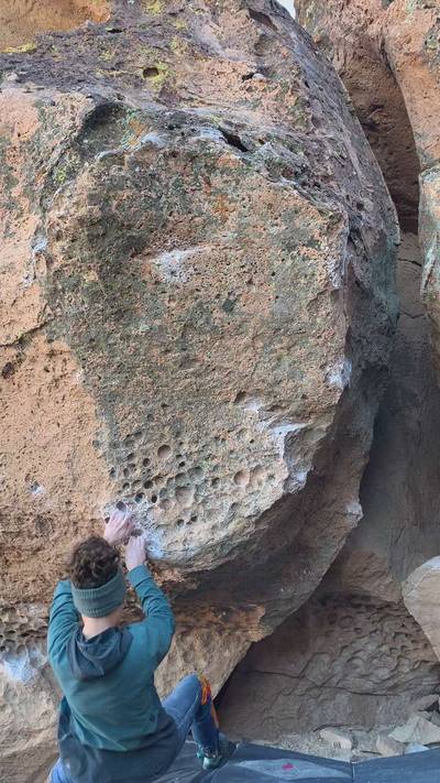 Stroking the Walrus v8, Bishop - Beta Video from Cheycheystirfry