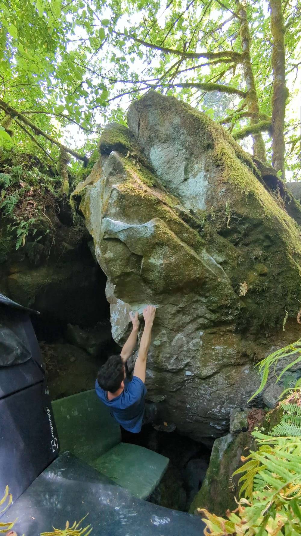Strange Love v4, Carver - Beta Video from jfr