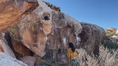 Sichuan Peppercorn v5, Moe's Valley - Beta Video from coolassstephen