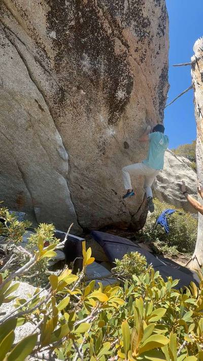 Attack of the Staph v9, Tramway - Beta Video from advian