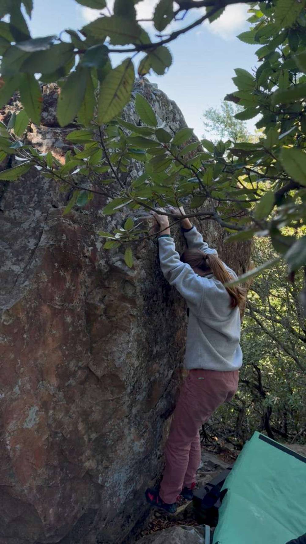 Unnamed Trailside Face 2 v2, Mt. Tamalpais - Beta Video from kyliecam
