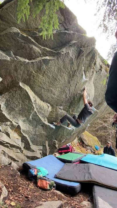 Obesity Direct v8, Gold Bar - Beta Video from RileyNat