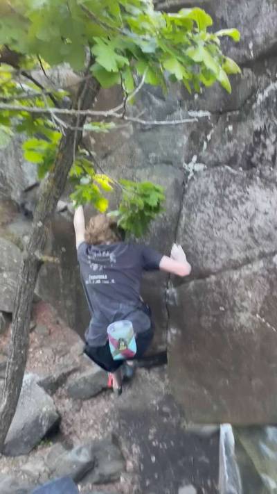 Digitalis v4, Taylors Falls - Beta Video from TheBigE