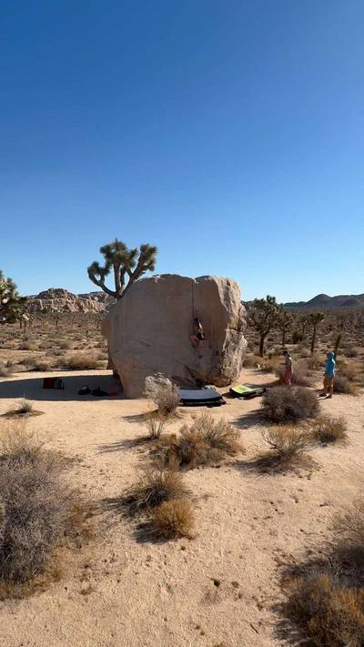 Pinhead v1, Joshua Tree - Beta Video from mountainmarie