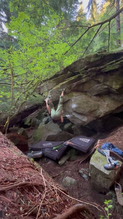 Rhino Chin v5, North Bend - Beta Video from tianshu