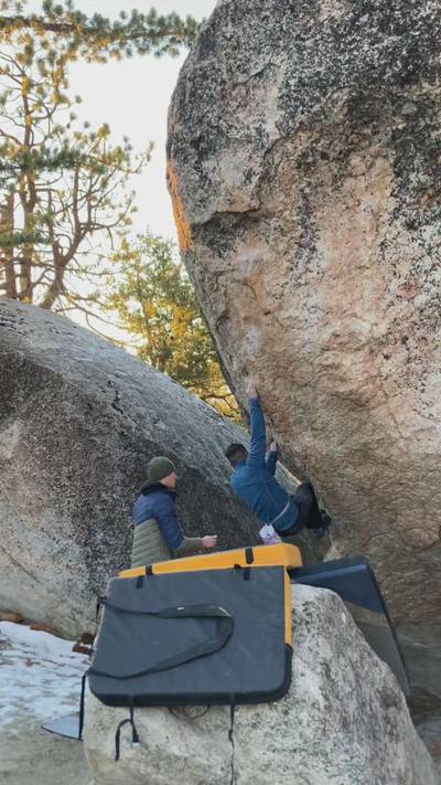 Lion's Mane v7, Black Mountain - Beta Video from rawnzhaus