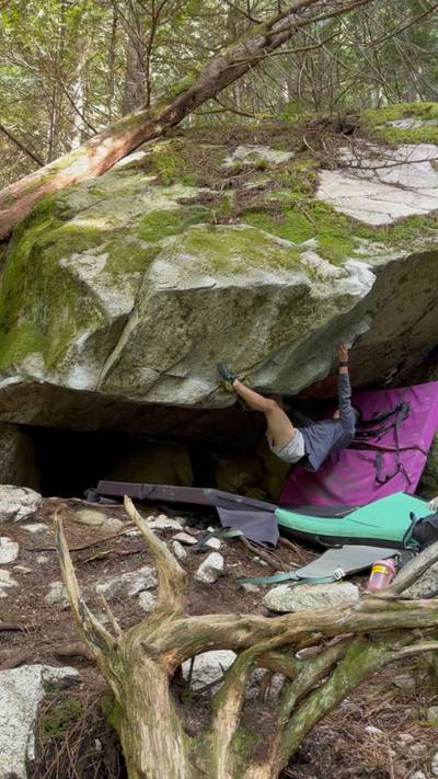 Fantastic Mr. Fox v7, Squamish - Beta Video from cams_playground_