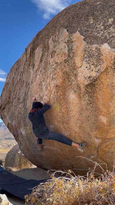 Perfectly Chicken v5, Bishop - Beta Video from Wiggs