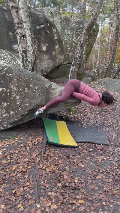 Crocodile v3, Fontainebleau - Beta Video from chrlauren